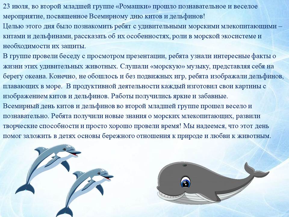 28.07.2026 2
