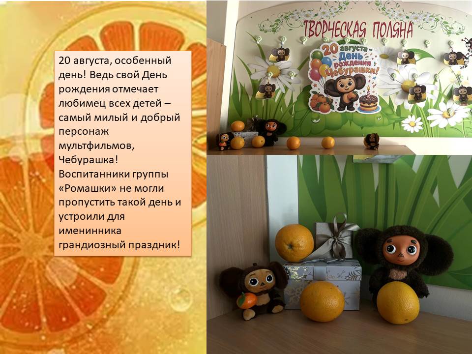 24.08.2026